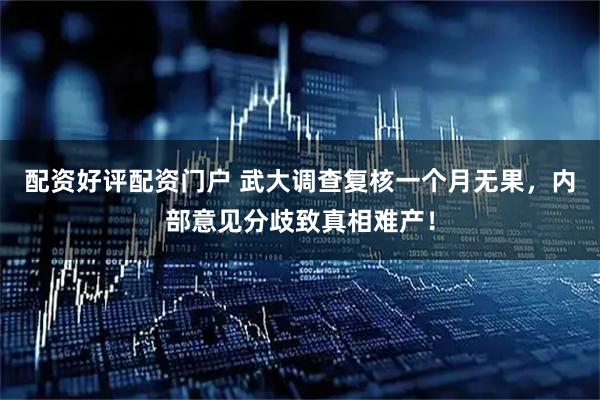 配资好评配资门户 武大调查复核一个月无果，内部意见分歧致真相难产！