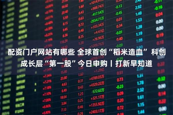 配资门户网站有哪些 全球首创“稻米造血” 科创成长层“第一股”今日申购丨打新早知道