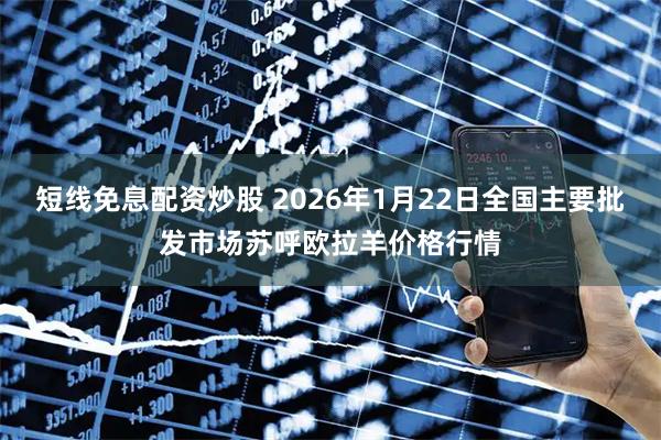 短线免息配资炒股 2026年1月22日全国主要批发市场苏呼欧拉羊价格行情