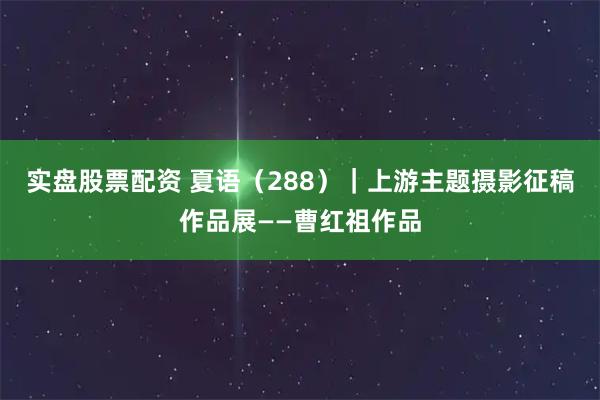 实盘股票配资 夏语（288）｜上游主题摄影征稿作品展——曹红祖作品