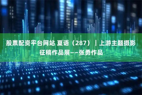 股票配资平台网站 夏语（287）｜上游主题摄影征稿作品展——张勇作品